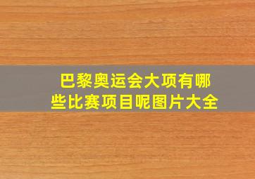 巴黎奥运会大项有哪些比赛项目呢图片大全