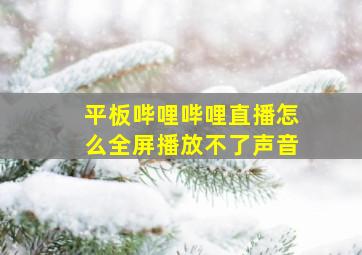 平板哔哩哔哩直播怎么全屏播放不了声音