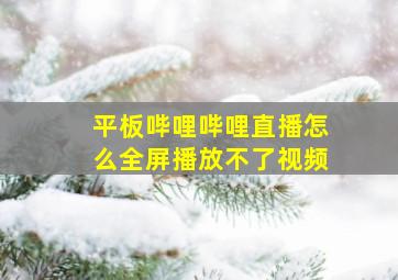 平板哔哩哔哩直播怎么全屏播放不了视频