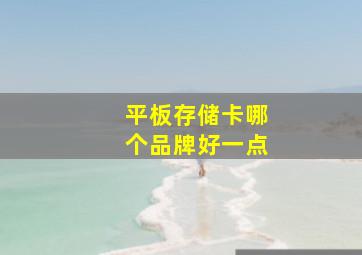 平板存储卡哪个品牌好一点