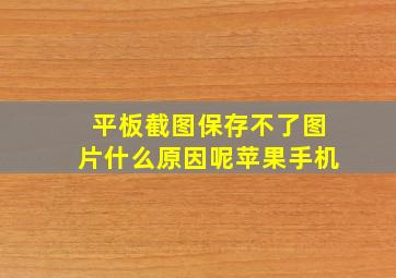 平板截图保存不了图片什么原因呢苹果手机