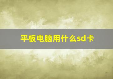 平板电脑用什么sd卡