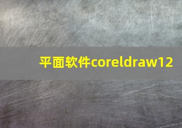 平面软件coreldraw12