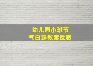 幼儿园小班节气白露教案反思