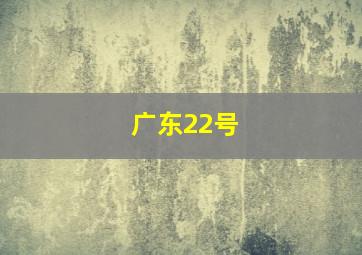 广东22号