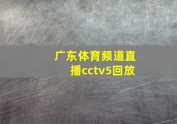 广东体育频道直播cctv5回放