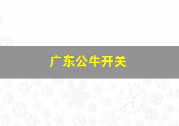 广东公牛开关