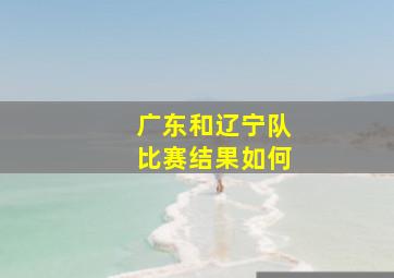 广东和辽宁队比赛结果如何