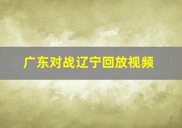 广东对战辽宁回放视频