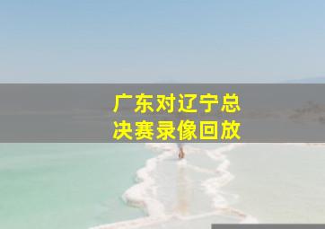 广东对辽宁总决赛录像回放