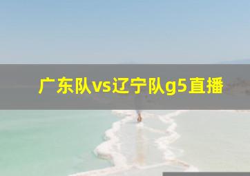 广东队vs辽宁队g5直播