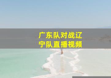 广东队对战辽宁队直播视频