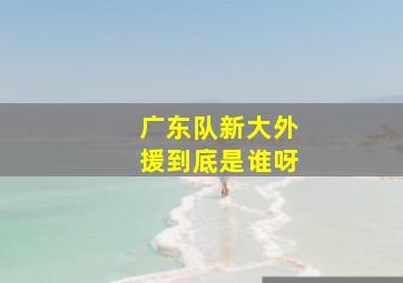 广东队新大外援到底是谁呀