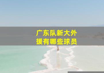 广东队新大外援有哪些球员