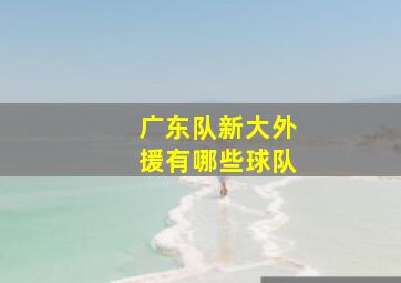 广东队新大外援有哪些球队