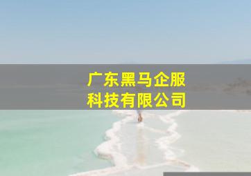 广东黑马企服科技有限公司