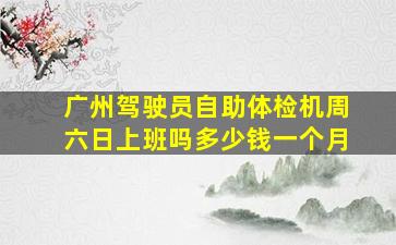 广州驾驶员自助体检机周六日上班吗多少钱一个月