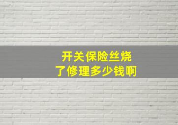 开关保险丝烧了修理多少钱啊