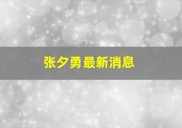 张夕勇最新消息