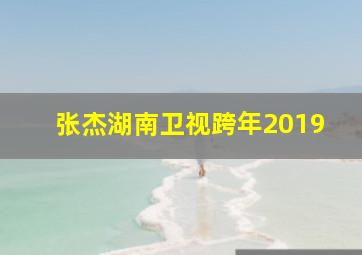 张杰湖南卫视跨年2019