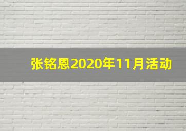 张铭恩2020年11月活动