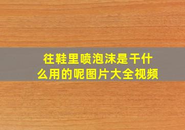 往鞋里喷泡沫是干什么用的呢图片大全视频