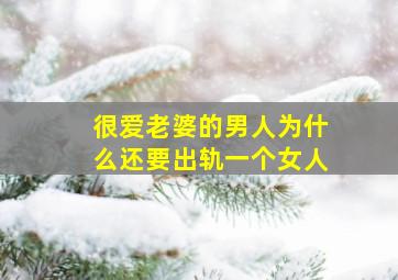 很爱老婆的男人为什么还要出轨一个女人