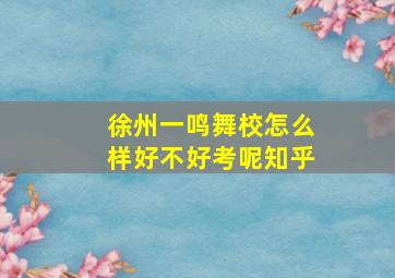 徐州一鸣舞校怎么样好不好考呢知乎