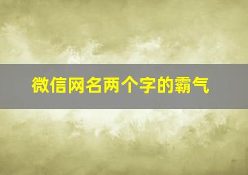 微信网名两个字的霸气