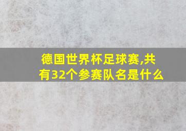 德国世界杯足球赛,共有32个参赛队名是什么