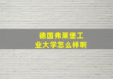 德国弗莱堡工业大学怎么样啊