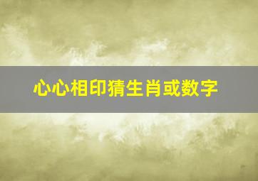 心心相印猜生肖或数字