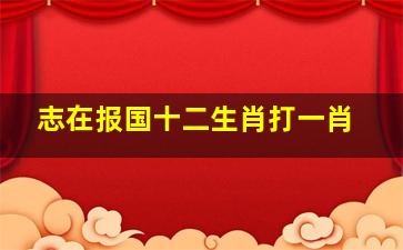 志在报国十二生肖打一肖