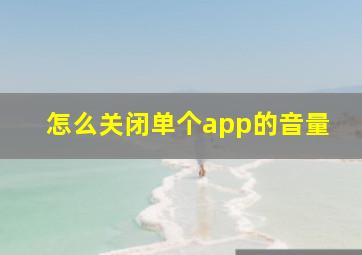 怎么关闭单个app的音量