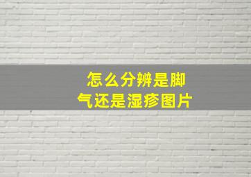 怎么分辨是脚气还是湿疹图片