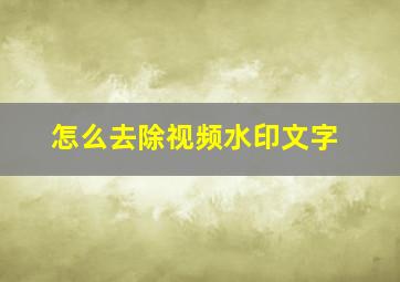 怎么去除视频水印文字