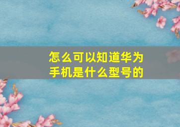 怎么可以知道华为手机是什么型号的