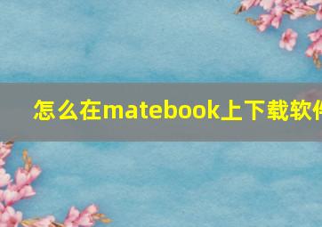 怎么在matebook上下载软件