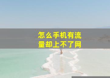 怎么手机有流量却上不了网