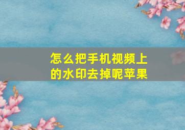 怎么把手机视频上的水印去掉呢苹果