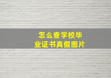 怎么查学校毕业证书真假图片