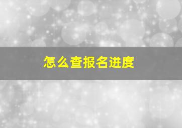 怎么查报名进度