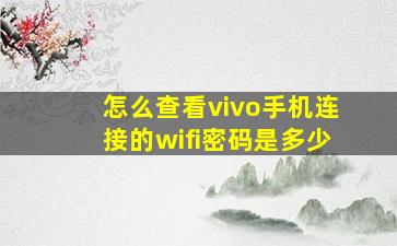 怎么查看vivo手机连接的wifi密码是多少