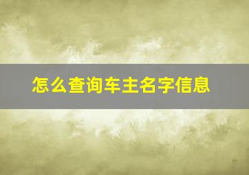 怎么查询车主名字信息