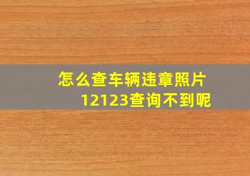 怎么查车辆违章照片12123查询不到呢