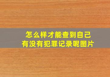 怎么样才能查到自己有没有犯罪记录呢图片