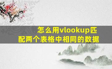 怎么用vlookup匹配两个表格中相同的数据