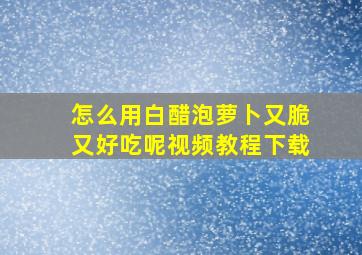 怎么用白醋泡萝卜又脆又好吃呢视频教程下载