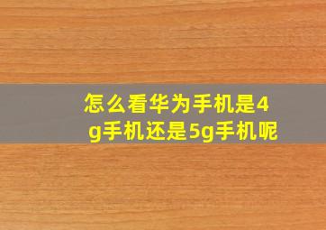 怎么看华为手机是4g手机还是5g手机呢