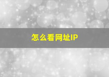 怎么看网址IP